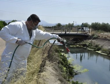 Συναγερμός από την αμερικανική πρεσβεία μετά τους 11 νεκρούς από τον ιό του Δυτικού Νείλου